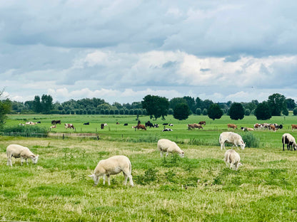 De échte Ronde van de Veluwe
